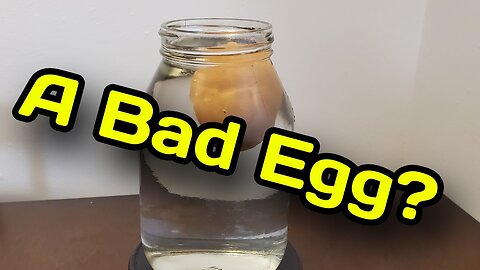 A Bad Egg? How To Test The Freshness Of An Egg Using The Water Float Test