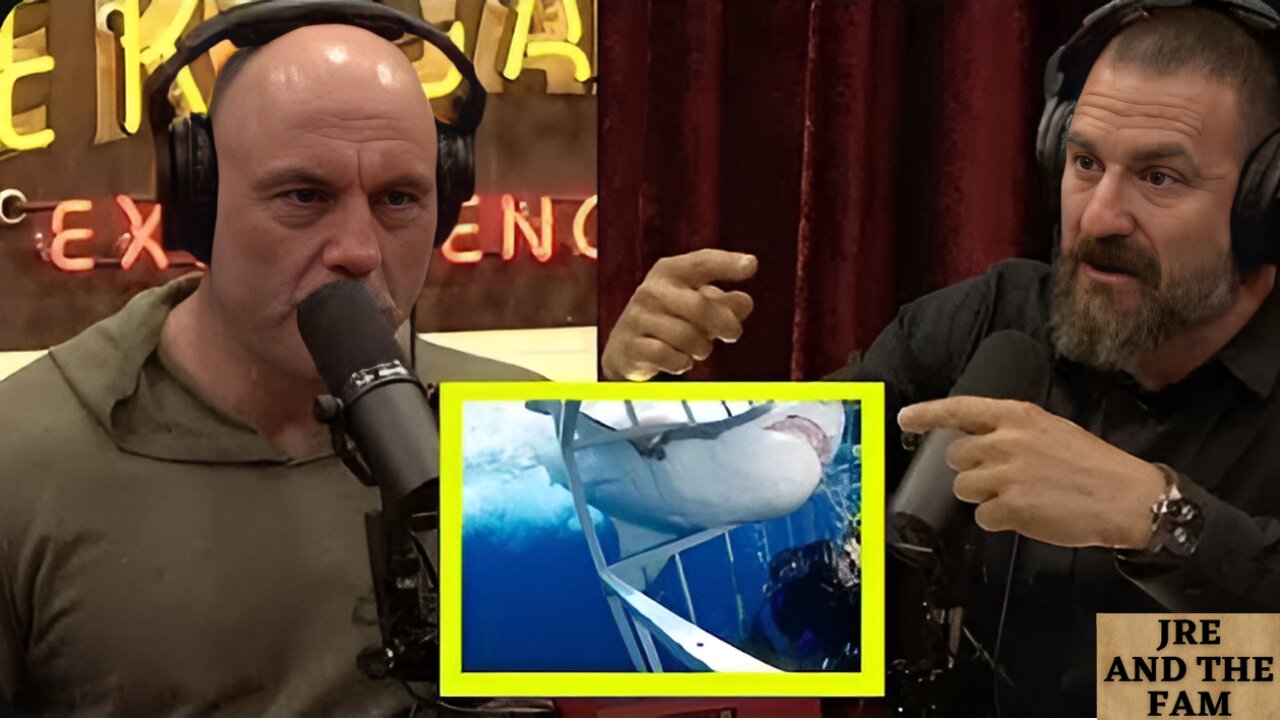 Joe Rogan Tank Joe Rogan: Oxygen Tank FAILURE Diving With HUGE SHARKS!!