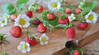 Promoting Growth - Pruning Strawberries