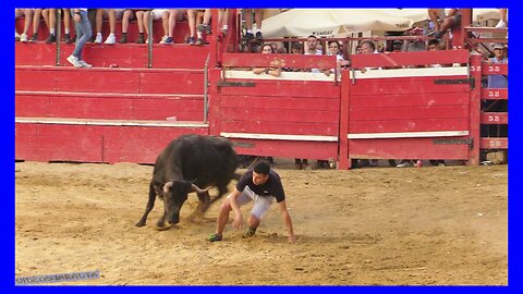 NOVALLAS ( ZARAGOZA ) TARDE VACAS EN LA PLAZA ( DOMINGO 2 JULIO 2023 ) GANAD.SANTOS ZAPATERIA