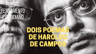 Poesia que Pensa − Dois poemas de HAROLDO DE CAMPOS