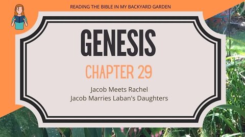 Genesis Chapter 29 | NRSV Bible Reading