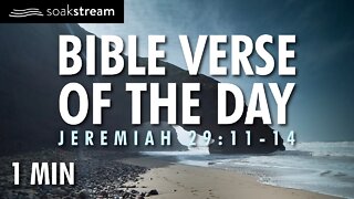 God's Promise To You | Bible Verse of the Day | Jeremiah 29:11-14 | #shorts | YouTube shorts