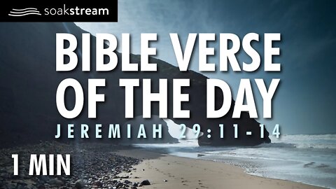 God's Promise To You | Bible Verse of the Day | Jeremiah 29:11-14 | #shorts | YouTube shorts
