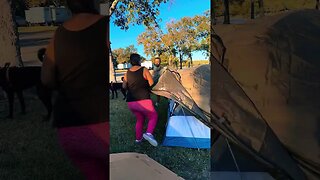 NightCat 2 layer tent