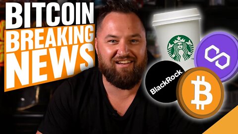 BEST BITCOIN NEWS OF THE YEAR! (Top Altcoin Price Action!)