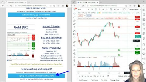 AutoUFOs 3-D Market Commentary (Becky Hayman) 2021 Jul-1