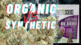 ORGANIC VS SYNTHETIC | which is better?