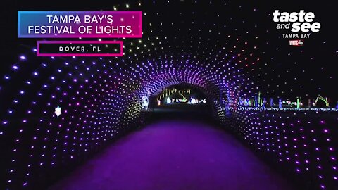 Tampa Bay's Festival of Lights and Santa's Village | Taste and See Tampa Bay