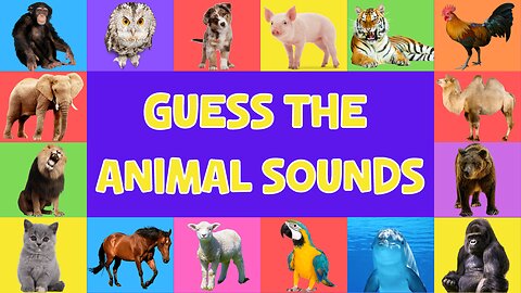 Guess That Animal Sound For Kids | 4K