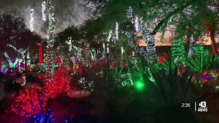 CLOSE TO HOME: Ethel M's holiday cactus garden