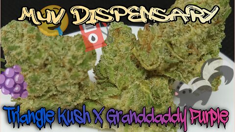 #110 Triangle Kush x Granddaddy Purple (Official Video Product Review)Muv Dispensary Product