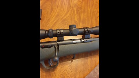 Savage 93R17- .17 HMR