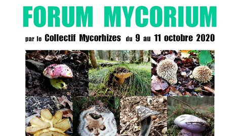 Forum Mycorium 2020 - 2/3