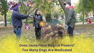 Does Jesse Have Magical Powers? And Too Many Dogs Are Medicated Today