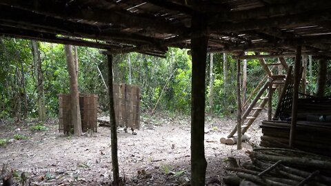 12* Build a bamboo fence around the house to set up animal traps.