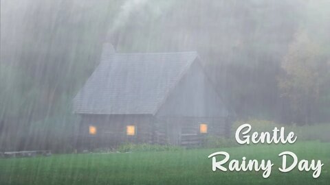 Lie down and sleep in 7 minutes with Heavy rain sounds on roof in Foggy Forest Rain Sound for Sleep