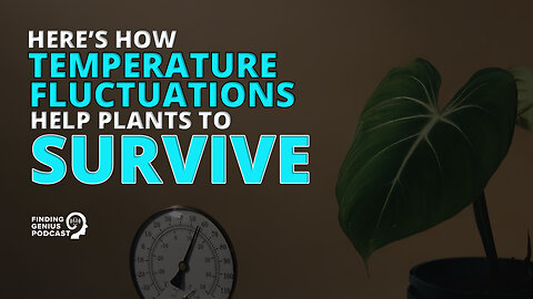 Here’s How Temperature Fluctuations Help Plants to Survive