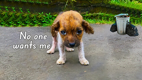 He desperately cried out for help after being abandoned on streets alone