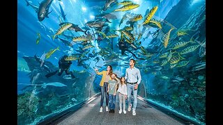 Dubai Aquarium and Underwater Zoo