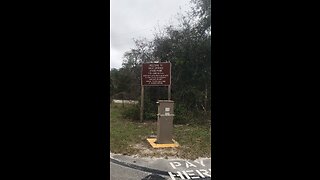 Blue Springs Manatees Time