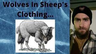 🐺 WOLVE'S IN SHEEP'S CLOTHING...