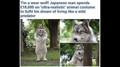 Why Is a Man In Japan Sexually Aroused By Being a Wolf?