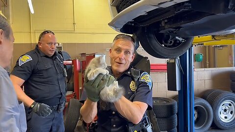Indiana State Police rescue kitten from car engine