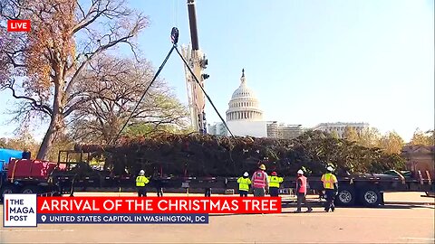 Arrival of the Giant Christmas Tree at the Capitol in Washington, DC ( Nov 18, 2022)