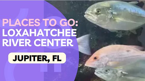 Places to go: Loxahatchee River Center, Jupiter, FL