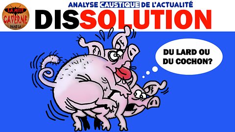 Analyse enrhumée (désolé) de la dissolution (11/06/2024)