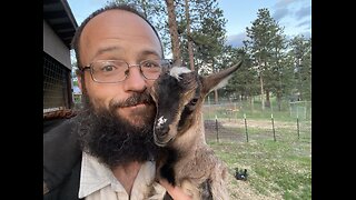 Purposeful Homesteading with Scott the Little Pine Farmer