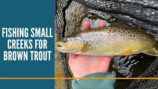 Fishing Small Creeks For Brown Trout / Michigan Brown Trout Fishing With Spinners