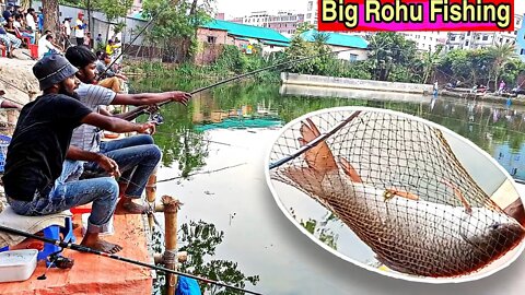 Traditional big rohu fish hunting in fishing competition