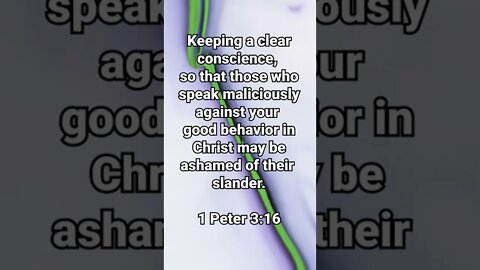 They Will Be Ashamed 1 Peter 3:16 * Bible Memory Verses