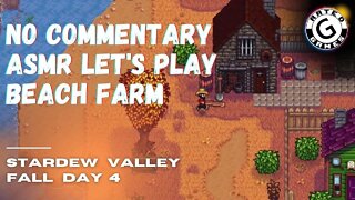 Stardew Valley No Commentary - Family Friendly Lets Play on Nintendo Switch - Fall Day 4