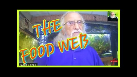 🔴 FATHER FISH - THE FOOD WEB