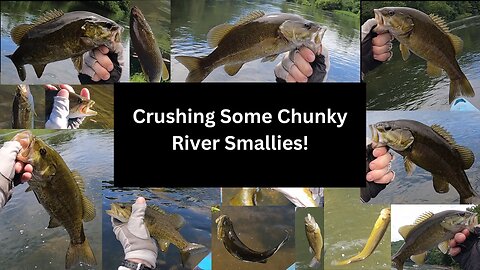 Crushing Some Chunky River Smallies!