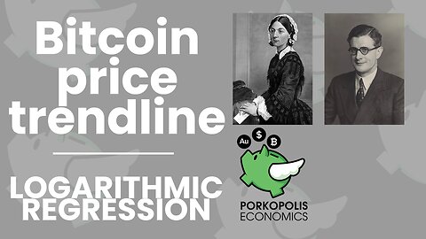 PE6: Logarithmic trendline on bitcoin price (IV)