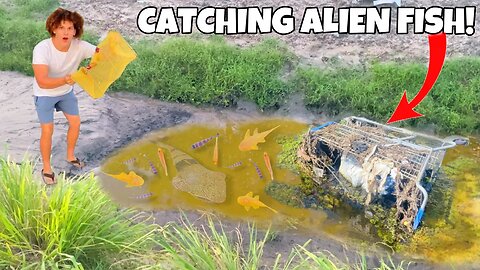 Catching ALBINO ALIEN FISH From POLLUTED CREEK!