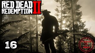 RED DEAD REDEMPTION 2. Life As An Outlaw. Gameplay Walkthrough. Episode 16