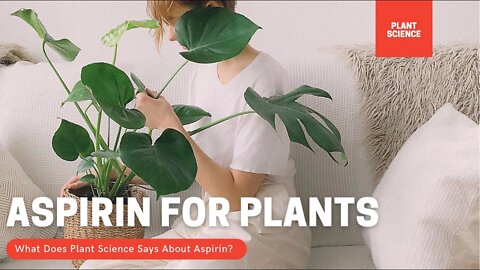 Should You Use Aspirin On Your Plants? What Does Asprin Do To Plants? How To Use Asprin on Plants?