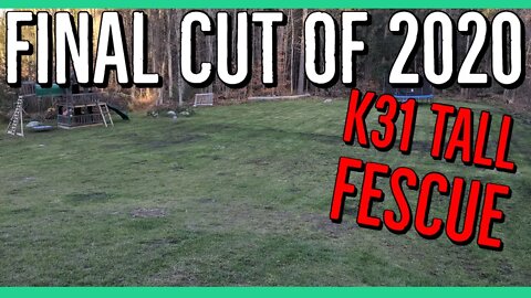 K31 Tall Fescue Final Cut of 2020 ||1 Year Results||