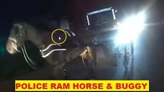 Stupid Cop Blocks Horse Causes Injury & Then Blames The Horse