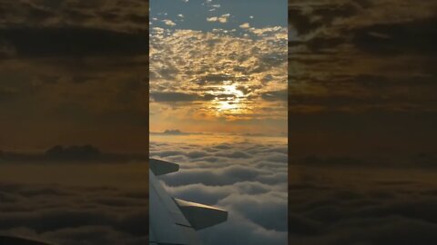 Flying off into the sunset (the view, sun, sunset, travel #shorts #short