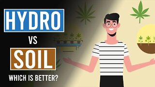 Hydroponics Vs Soil: Which is best?