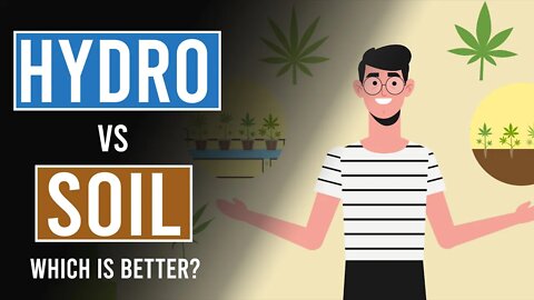 Hydroponics Vs Soil: Which is best?