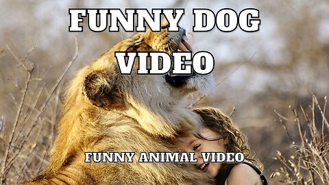 funny animal video try not to laugh
