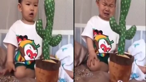 Baby First Experience with Dancing Cactus Talking Toy