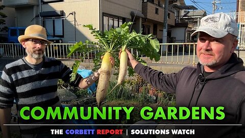 Community Gardens - #SolutionsWatch